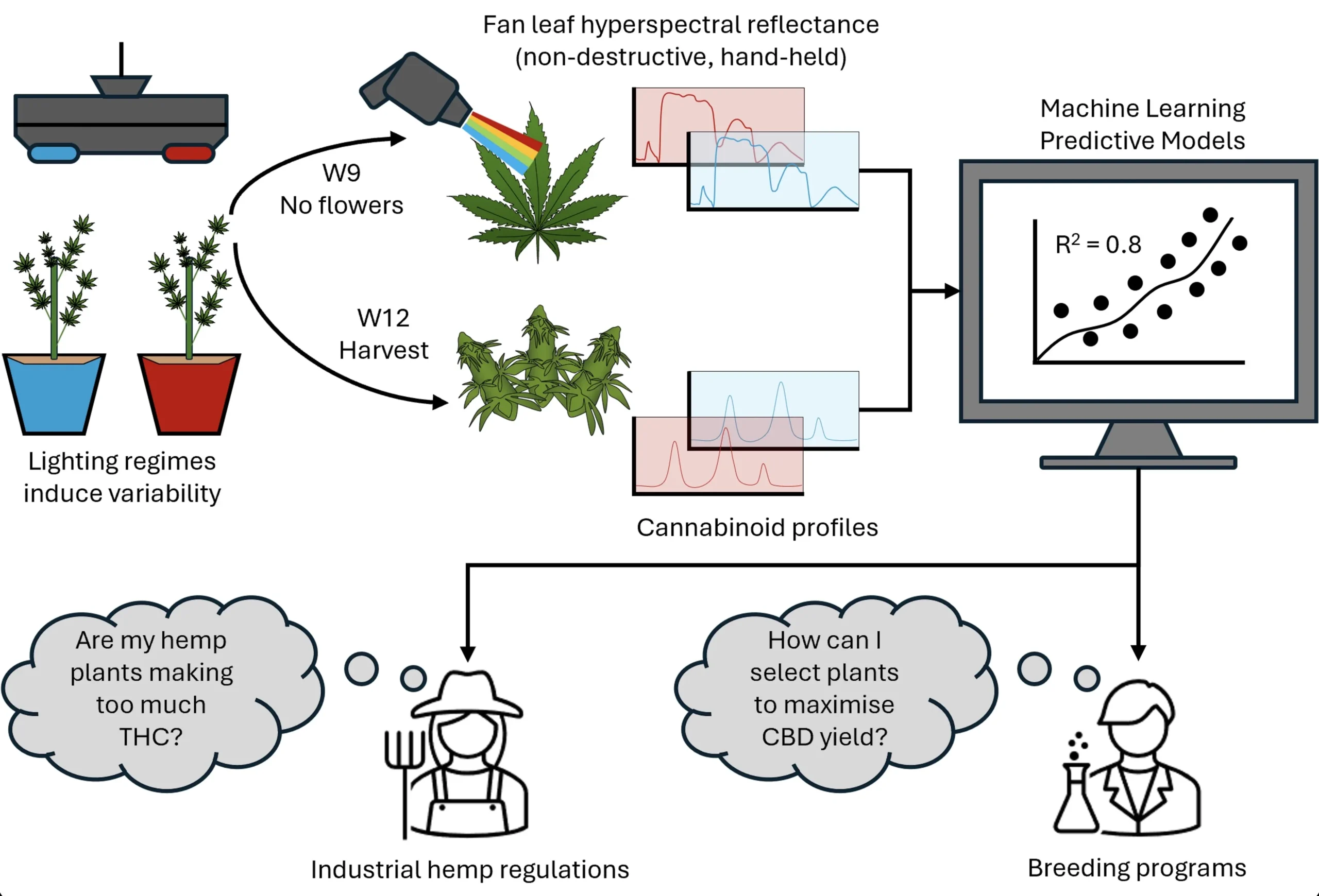Research Article: Predicting Cannabinoid Yield from Spectral Leaf Scans